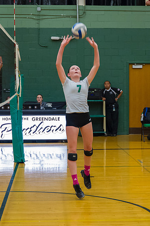 2015 Greendale Girls JV Volleyball