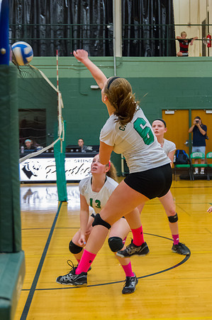 2015 Greendale Girls JV Volleyball