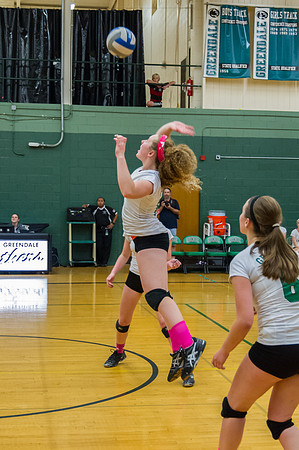 2015 Greendale Girls JV Volleyball