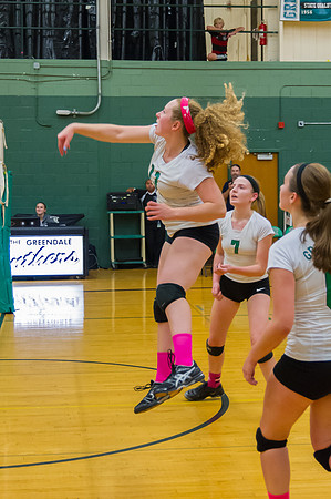 2015 Greendale Girls JV Volleyball