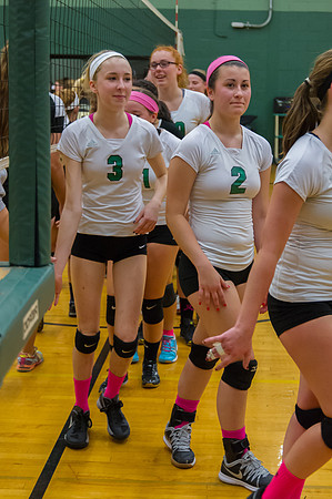 2015 Greendale Girls JV Volleyball