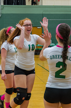 2015 Greendale Girls JV Volleyball