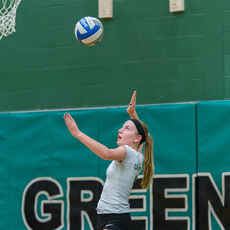 2015 Greendale Girls JV Volleyball