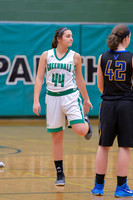 2016 Greendale Girls Varsity Basketball