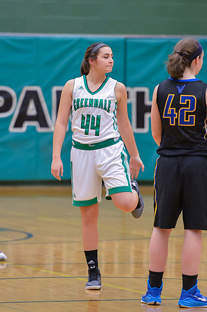 2016 Greendale Girls Varsity Basketball