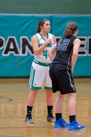 2016 Greendale Girls Varsity Basketball