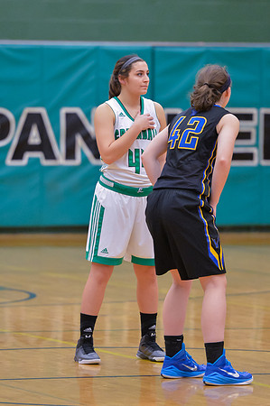2016 Greendale Girls Varsity Basketball