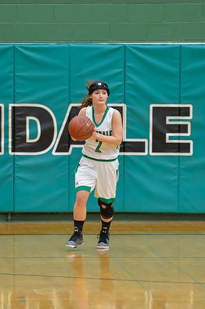 2016 Greendale Girls Varsity Basketball