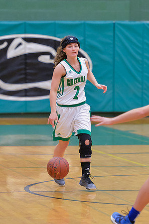 2016 Greendale Girls Varsity Basketball