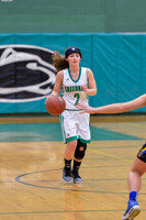 2016 Greendale Girls Varsity Basketball