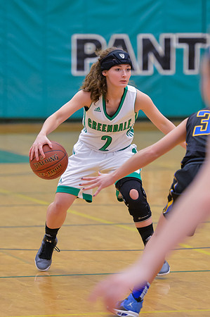 2016 Greendale Girls Varsity Basketball