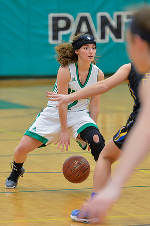 2016 Greendale Girls Varsity Basketball