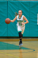 2016 Greendale Girls Varsity Basketball