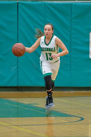 2016 Greendale Girls Varsity Basketball