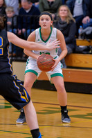 2016 Greendale Girls Varsity Basketball