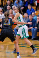2016 Greendale Girls Varsity Basketball
