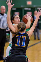 2016 Greendale Girls Varsity Basketball