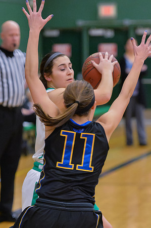 2016 Greendale Girls Varsity Basketball