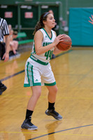 2016 Greendale Girls Varsity Basketball