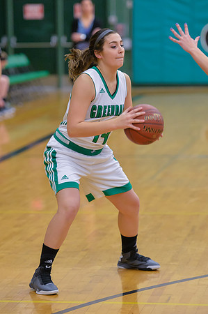 2016 Greendale Girls Varsity Basketball