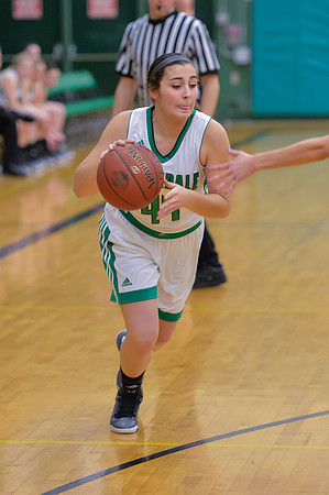 2016 Greendale Girls Varsity Basketball