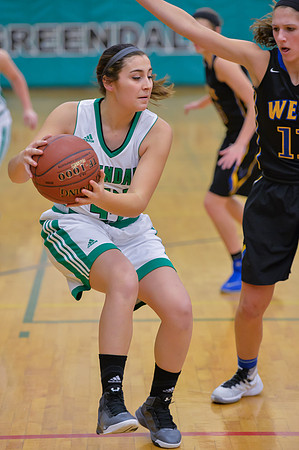 2016 Greendale Girls Varsity Basketball