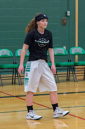 2015 Greendale Girls Varsity Basketball