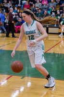 2015 Greendale Girls Varsity Basketball