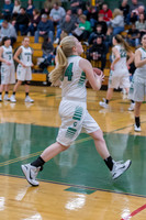 2015 Greendale Girls Varsity Basketball