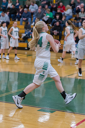 2015 Greendale Girls Varsity Basketball