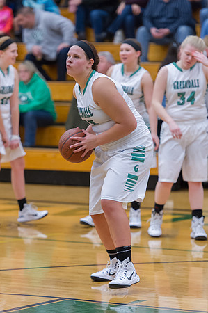 2015 Greendale Girls Varsity Basketball