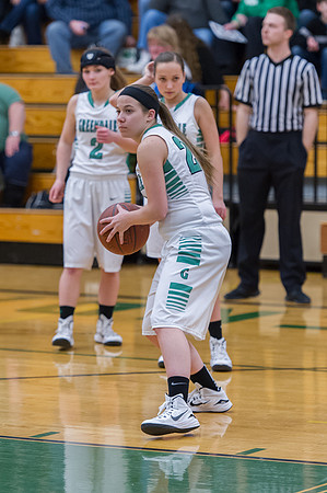 2015 Greendale Girls Varsity Basketball