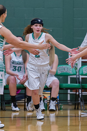 2015 Greendale Girls Varsity Basketball