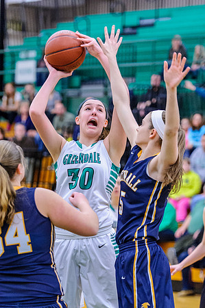 2015 Greendale Girls Varsity Basketball