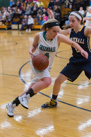 2015 Greendale Girls Varsity Basketball