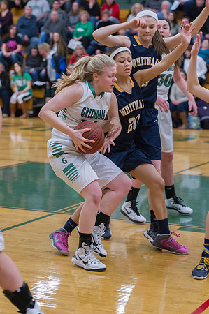2015 Greendale Girls Varsity Basketball