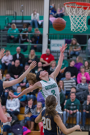 2015 Greendale Girls Varsity Basketball