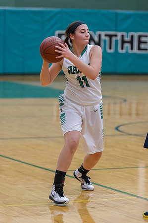 2015 Greendale Girls Varsity Basketball