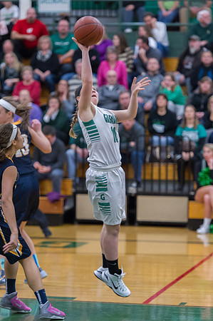 2015 Greendale Girls Varsity Basketball