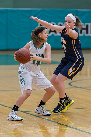 2015 Greendale Girls Varsity Basketball