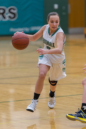 2015 Greendale Girls Varsity Basketball