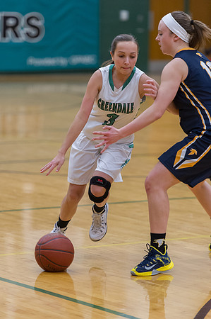 2015 Greendale Girls Varsity Basketball