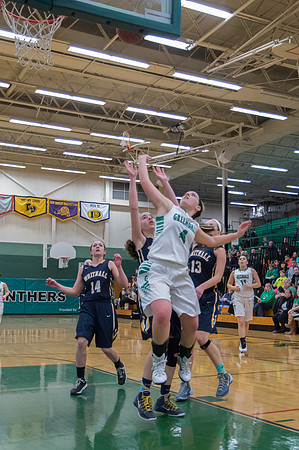 2015 Greendale Girls Varsity Basketball
