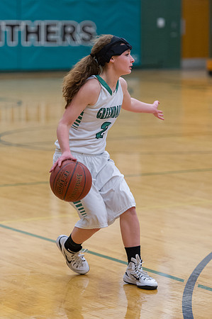 2015 Greendale Girls Varsity Basketball