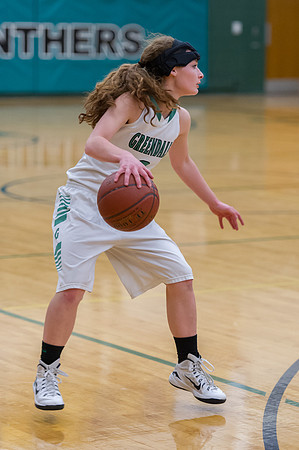 2015 Greendale Girls Varsity Basketball