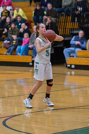 2015 Greendale Girls Varsity Basketball