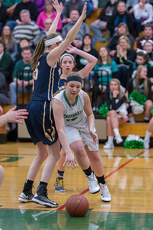 2015 Greendale Girls Varsity Basketball