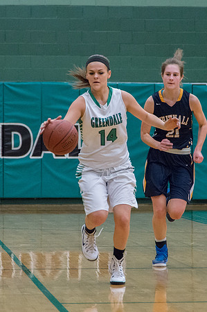 2015 Greendale Girls Varsity Basketball