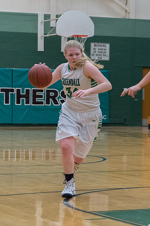 2015 Greendale Girls Varsity Basketball