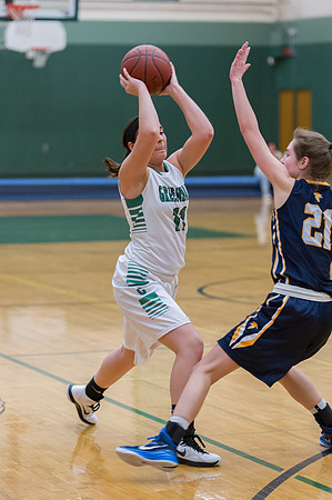 2015 Greendale Girls Varsity Basketball